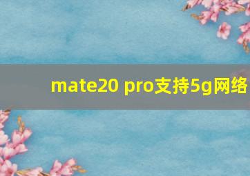 mate20 pro支持5g网络